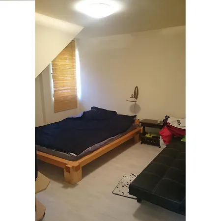 בית נופש Cabana Colibita *
